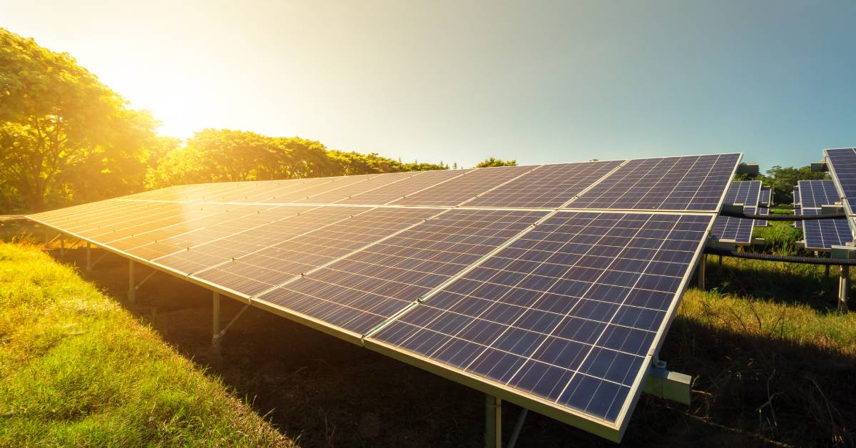 A close-up of a row of reflective solar panels aimed toward the sky at sunset. The setting sun is peeking over several trees.